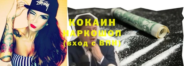 ешки Бородино