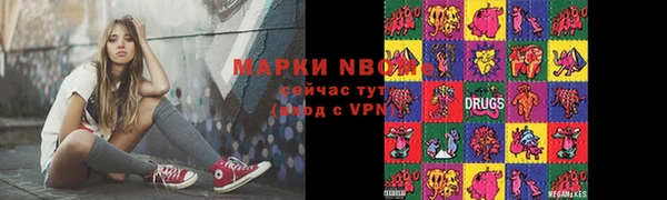 ешки Бородино