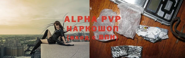 ешки Бородино