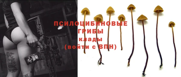 ешки Бородино