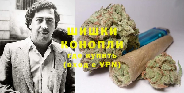 ешки Бородино