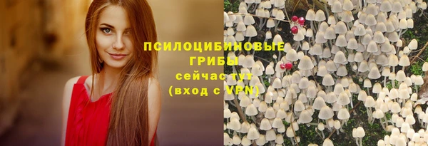 трава Бугульма