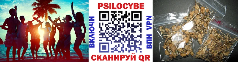купить наркотики цена  Брянск  Галлюциногенные грибы мицелий 
